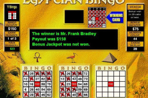 Bingo Master 11