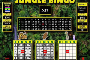 Bingo Master 12