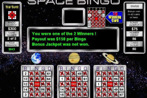 Bingo Master 13