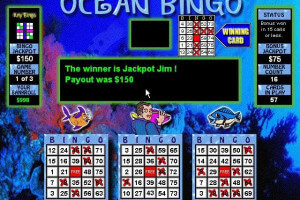 Bingo Master 14