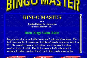 Bingo Master 3