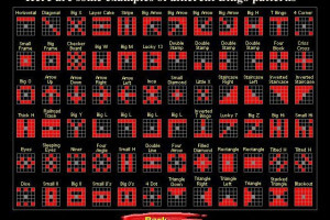 Bingo Master 5