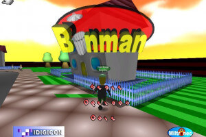 Binman 0
