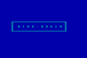 Bird Brain 0