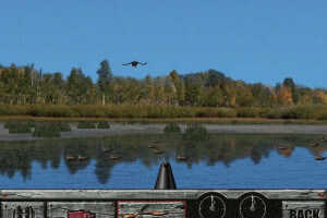 Bird Hunter: Waterfowl Edition abandonware