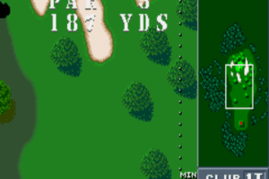 Birdie Try abandonware