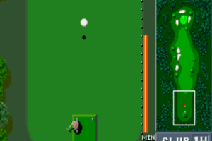 Birdie Try 9