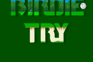 Birdie Try 10
