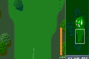 Birdie Try 1