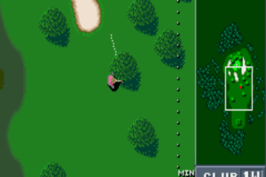 Birdie Try 2