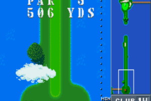 Birdie Try 5