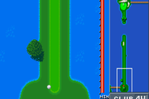 Birdie Try 6