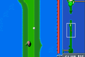 Birdie Try 7
