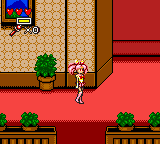 Bishōjo Senshi Sailor Moon S abandonware