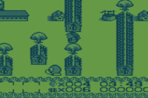Black Forest Tale 1