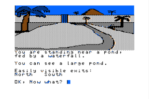 Blackbeard's Island 10