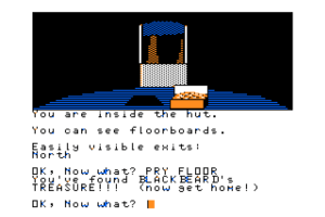 Blackbeard's Island 15