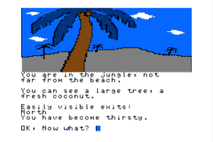 Blackbeard's Island 4
