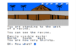 Blackbeard's Island 5