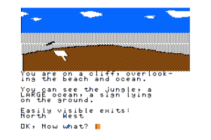 Blackbeard's Island 7