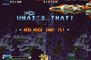 Blazing Star 6