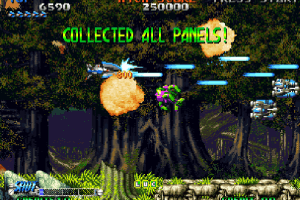 Blazing Star 7
