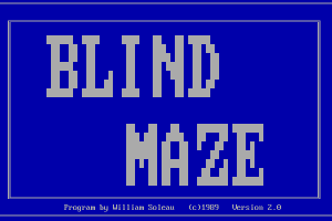 Blind Maze 7