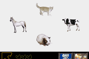 Blinky Bill: Play and Learn - Year 1 8