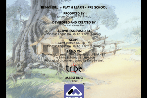 Blinky Bill's Play & Learn: Preschool 9