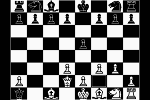 Bluebush Chess 5