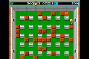 Bomberman 9