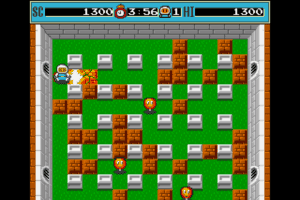 Bomberman 14