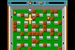 Bomberman 5