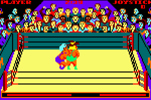 Bop'N Wrestle abandonware