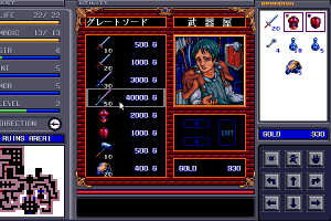 Brandish 11