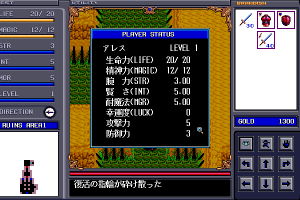 Brandish 6