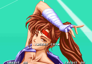 Breakers Revenge abandonware