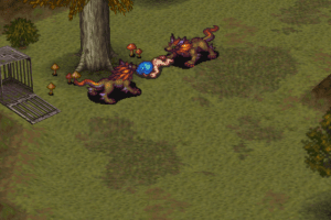 Breath of Fire III 14