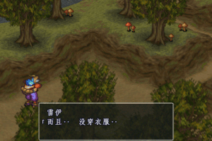 Breath of Fire III 16