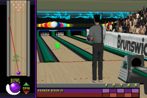 Brunswick Circuit Pro Bowling abandonware