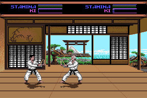 Budokan: The Martial Spirit abandonware