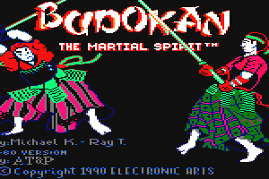 Budokan: The Martial Spirit 0