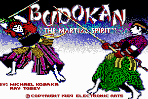 Budokan: The Martial Spirit 0