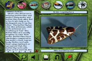 Bug Adventure abandonware