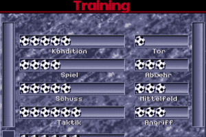 Bundesliga Manager Professional 15