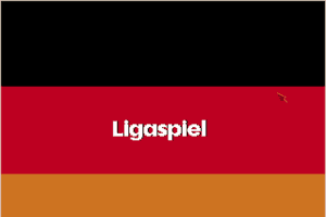 Bundesliga Manager Professional 21