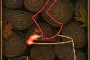 Burn the Rope 4