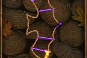 Burn the Rope 5