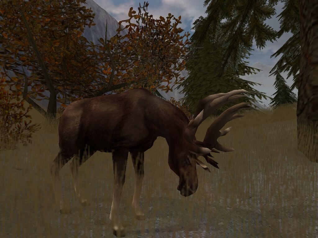 cabela