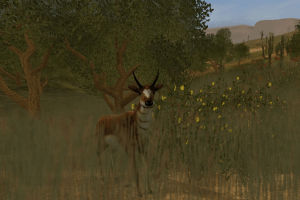 Cabela's Big Game Hunter 2004 2